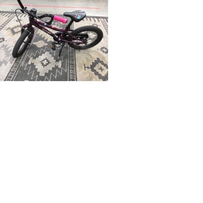 scott contessa for sale